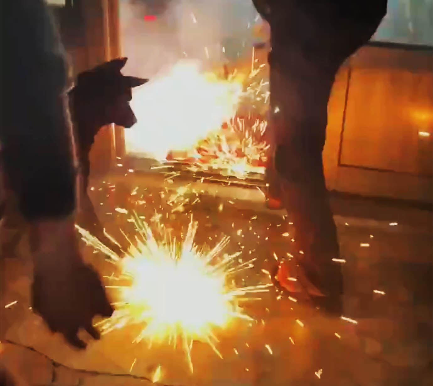【衝撃動画】犬が火がついた花火を家に持ち込んで大騒動 / 花火が室内で大爆発