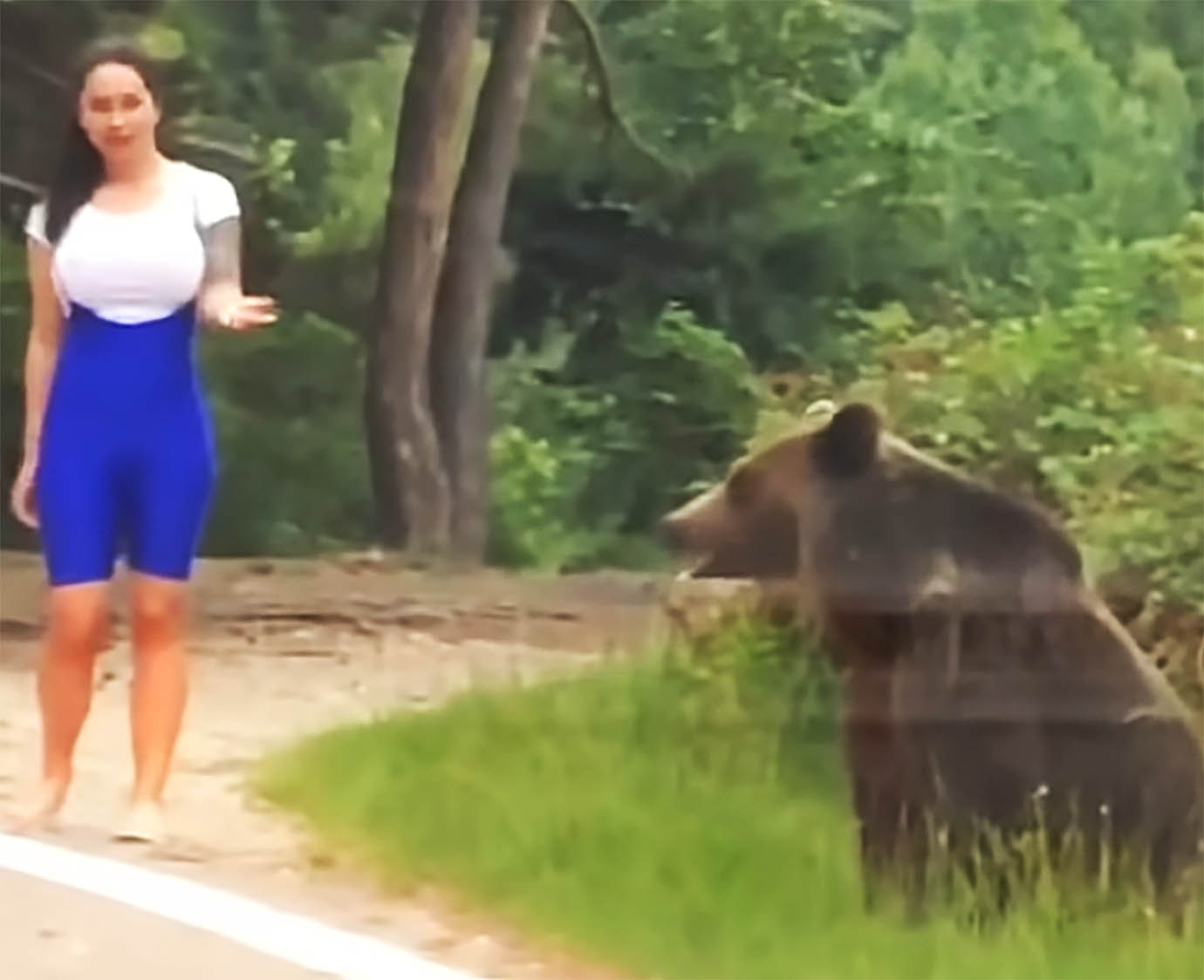 衝撃動画 野生クマの真横で記念撮影しようとした女性の末路 超接近して熊激怒 襲われる バズプラスニュース