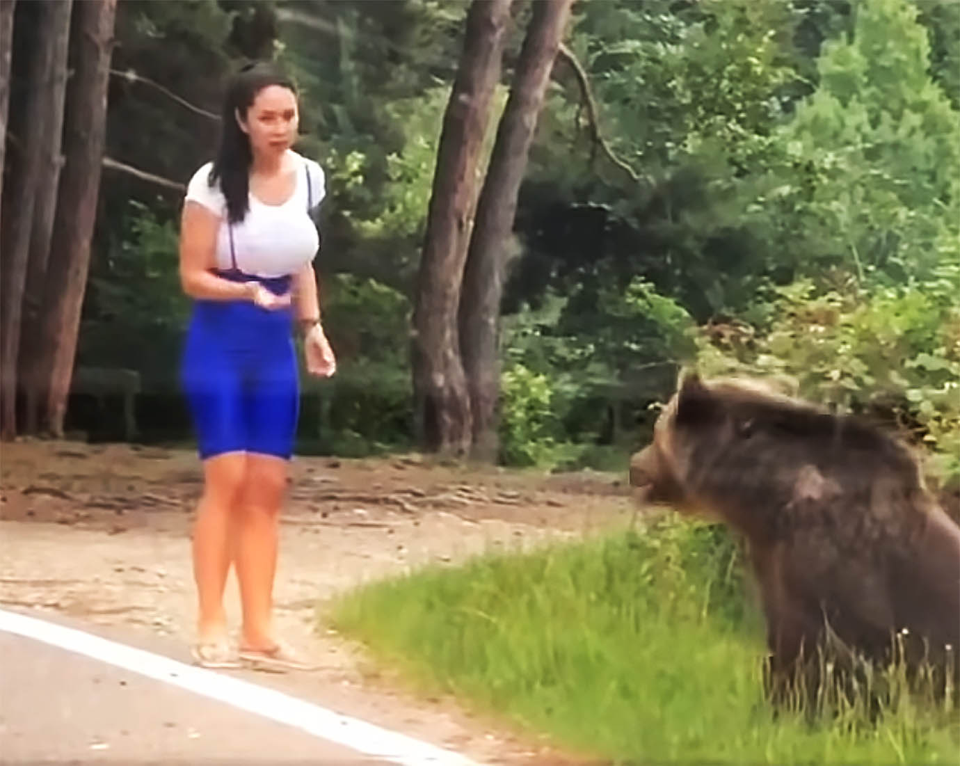 【衝撃動画】野生クマの真横で記念撮影しようとした女性の末路 / 超接近して熊激怒 → 襲われる