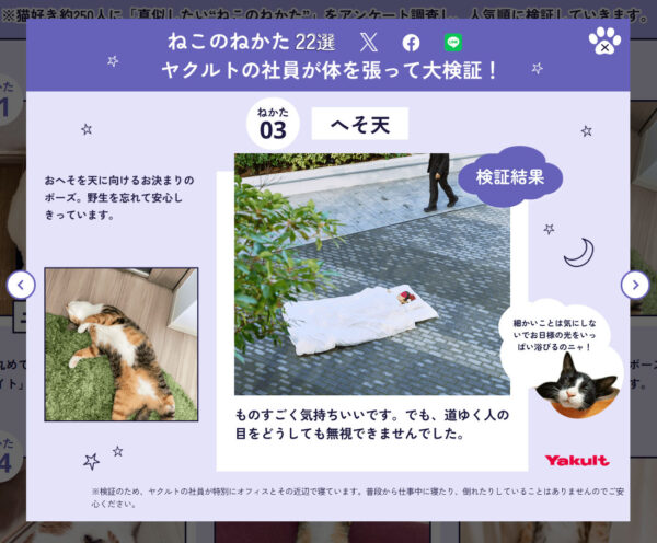 ヤクルト社員が「ねこのねかた」を徹底的に実践しまくった結果